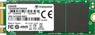 Transcend TS256GMTS600S цена и информация | Внутренние жёсткие диски (HDD, SSD, Hybrid) | 220.lv