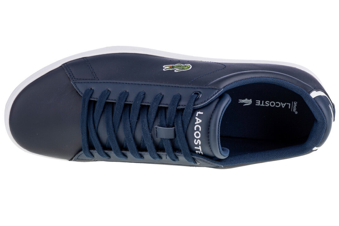 Sporta apavi vīriešiem Lacoste Carnaby Evo BL 1 733SPM1002003, zili cena un informācija | Sporta apavi vīriešiem | 220.lv