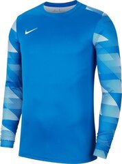 Мужская футболка Nike, синяя цена и информация | Мужские футболки | 220.lv