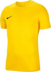 Футболка Nike Sports для мальчиков BV6741 719, желтая цена и информация | Рубашки для мальчиков | 220.lv