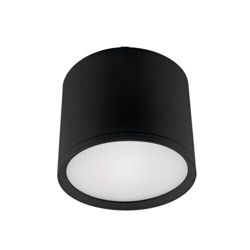 Rolen LED 10w melna 4000k SMD LED griestu lampa STRÜHM 90 x 120 x 120 mm cena un informācija | Griestu lampas | 220.lv