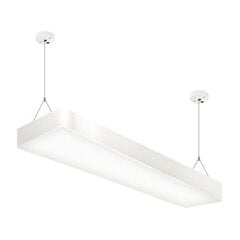 Flara LED 24w balta 4000k hermētiska griestu lampa STRÜHM 61 x 600 x 198 mm cena un informācija | Lustras | 220.lv