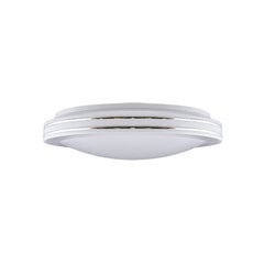 Soleo LED 16w 4000k SMD LED griestu lampa STRÜHM 100 x 350 x 350 mm цена и информация | Потолочные светильники | 220.lv