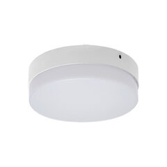 Robin LED c 18w 4000k SMD LED griestu lampa STRÜHM 55 x 180 x 180 mm цена и информация | Потолочные светильники | 220.lv