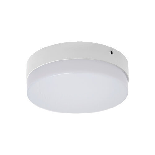 Robin LED c 18w 4000k SMD LED griestu lampa STRÜHM 55 x 180 x 180 mm цена и информация | Griestu lampas | 220.lv