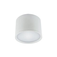 Rolen LED 7w balta 4000k SMD LED griestu lampa STRÜHM 70 x 100 x 100 mm цена и информация | Потолочные светильники | 220.lv