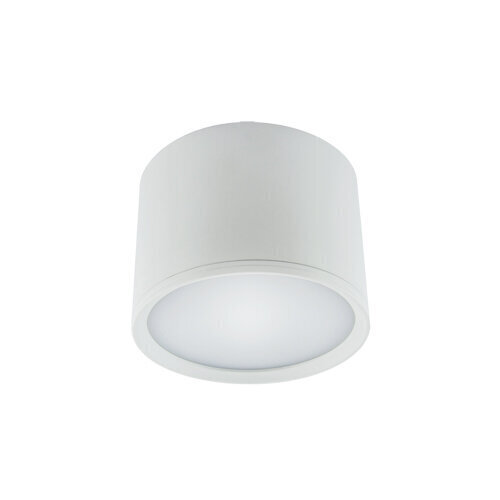 Rolen LED 7w balta 4000k SMD LED griestu lampa STRÜHM 70 x 100 x 100 mm cena un informācija | Griestu lampas | 220.lv