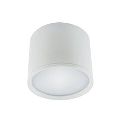 Rolen LED 10w balta 4000k SMD LED griestu lampa STRÜHM 90 x 120 x 120 mm cena un informācija | Griestu lampas | 220.lv
