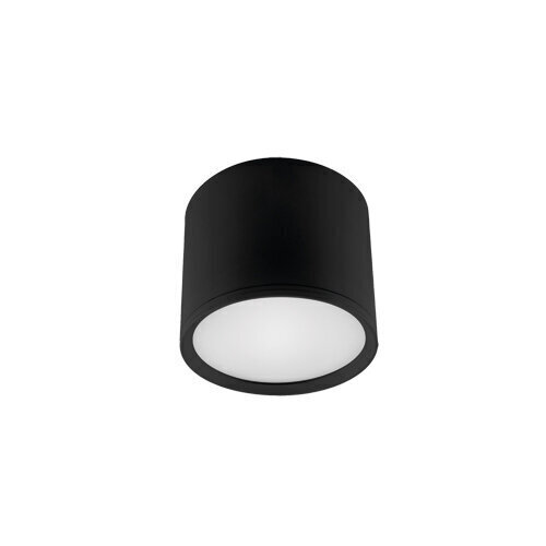 Rolen LED 3w melna 4000k SMD LED griestu lampa STRÜHM 65 x 75 x 75 mm cena un informācija | Griestu lampas | 220.lv