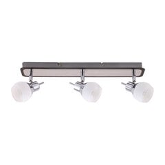 Manam gu10 2l melna sienas un griestu lampa STRÜHM 160 x 250 x 75 mm цена и информация | Потолочные светильники | 220.lv