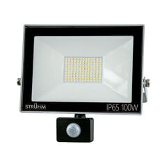 Серый 4500k светодиодный прожектор smd с датчиком движения STRÜHM kroma led s 100w, 247 x 269 x 64 мм цена и информация | Уличное освещение | 220.lv