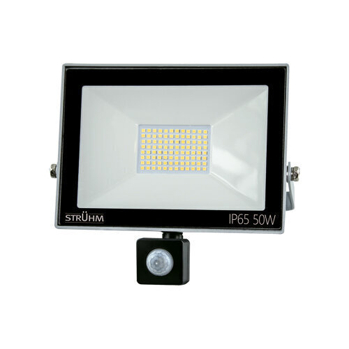 Kroma LED s 50w pelēks 6500k SMD LED projektors ar kustības sensoru STRÜHM 217 x 229 x 59 mm cena un informācija | Āra apgaismojums | 220.lv