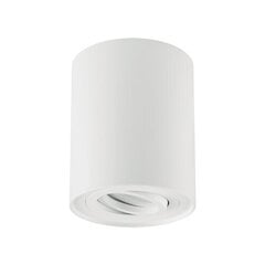 Hary c gu10 balta griestu lampa STRÜHM 124 x 98 x 98 mm цена и информация | Монтируемые светильники, светодиодные панели | 220.lv