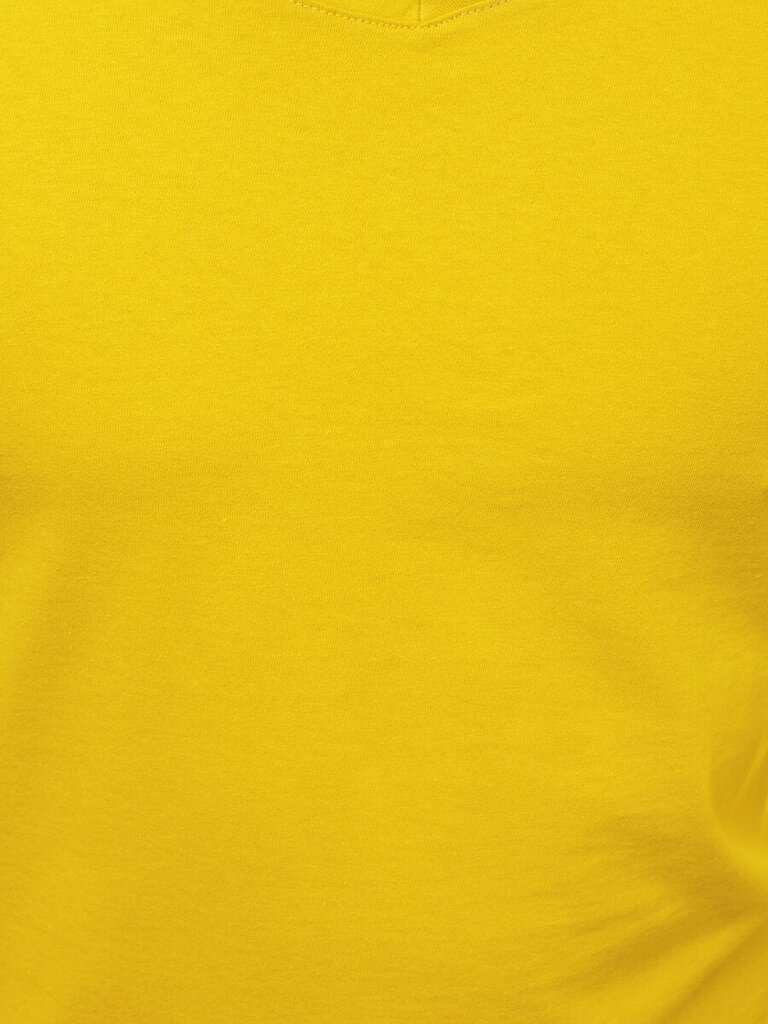Vīriešu T-krekls Model, dzeltens cena un informācija | Vīriešu T-krekli | 220.lv