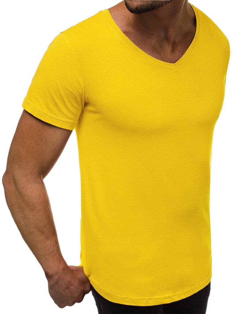 Vīriešu T-krekls Model, dzeltens cena un informācija | Vīriešu T-krekli | 220.lv