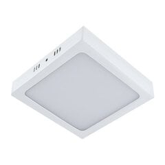Martin LED d balta 24w 4000k SMD LED griestu lampa STRÜHM 35 x 300 x 300 mm cena un informācija | Iebūvējamās lampas, LED paneļi | 220.lv