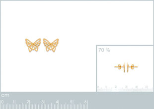 Серьги с золотым покрытием 750°, произведено во Франции цена и информация | Серьги | 220.lv