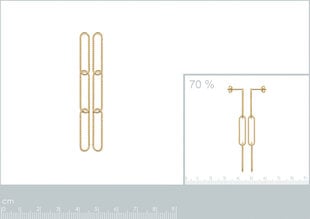 Серьги с золотым покрытием 750°, произведено во Франции цена и информация | Серьги | 220.lv