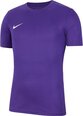 T krekls vīriešiem Nike, violets