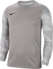 T-krekls vīriešiem Nike Park IV GK CJ6066 052 CJ6066 052, pelēks cena un informācija | Vīriešu T-krekli | 220.lv