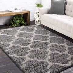 Paklājs Long Modern Grey, 120x170 cm цена и информация | Ковры | 220.lv