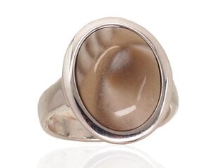 Серебряное кольцо цена и информация | Кольца | 220.lv