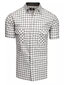 Balti- pelēki rūtains vīriešu krekls ""Beartown" KX0959-44250-XXL cena un informācija | Vīriešu krekli | 220.lv