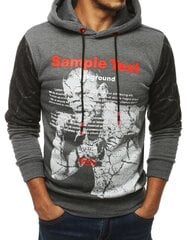 Vīriešu tumši pelēks džemperis "Sample" BX4070-44002-XXL cena un informācija | Vīriešu jakas | 220.lv