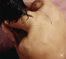 CD HARRY STYLES "Harry Styles" цена и информация | Виниловые пластинки, CD, DVD | 220.lv