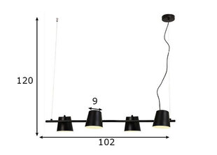 Подвесной светильник Ayran цена и информация | Настенный/подвесной светильник Eye Spot 11 BL, чёрный | 220.lv