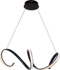 Подвесной светильник Cleo цена и информация | Люстры | 220.lv