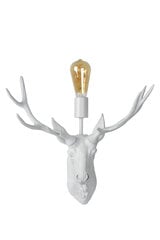 Настенный светильник Caribou цена и информация | Настенные светильники | 220.lv