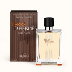 Tualetes ūdens Hermes Terre D'hermes EDT vīriešiem 100 ml cena un informācija | Vīriešu smaržas | 220.lv