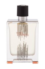 Туалетная вода Hermes Terre D'hermes EDT для мужчин, 100 мл цена и информация | Мужские духи | 220.lv