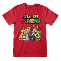 Nintendo Super Mario - Main Character Group цена и информация | Атрибутика для игроков | 220.lv