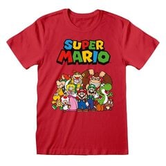 Nintendo Super Mario - Main Character Group cena un informācija | Datorspēļu suvenīri | 220.lv