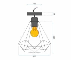 Griestu lampa Reno-D цена и информация | Потолочные светильники | 220.lv