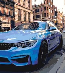 Glezna pēc numuriem "BMW"40X50 G cena un informācija | Gleznas pēc numuriem | 220.lv