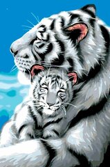 Glezna pēc numuriem "Baltie tīģeri" 40X60 G cena un informācija | Gleznas pēc numuriem | 220.lv