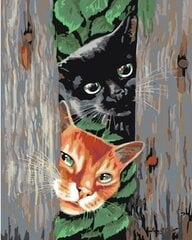 Glezna pēc numuriem "Melns un ruds kaķis"40X50 G cena un informācija | Gleznas pēc numuriem | 220.lv