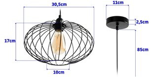 Piekaramā lampa Loft Parma cena un informācija | Piekaramās lampas | 220.lv