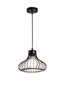 Piekaramā lampa Loft Tulip cena un informācija | Lustras | 220.lv