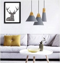 Piekaramā lampa Scandi B, Grey цена и информация | Люстры | 220.lv