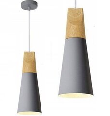 Piekaramā lampa Scandi B, Grey цена и информация | Настенный/подвесной светильник Eye Spot 11 BL, чёрный | 220.lv