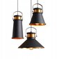 Piekaramā lampa Asti ABC, Black/Gold cena un informācija | Piekaramās lampas | 220.lv