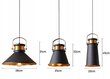 Piekaramā lampa Asti ABC, Black/Gold cena un informācija | Lustras | 220.lv