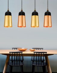 Piekaramā lampa Fox, Rose gold цена и информация | Настенный/подвесной светильник Eye Spot 11 BL, чёрный | 220.lv