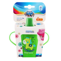 Bērnu pudelīte Canpol Babies 250 ml, zaļa, 31/200 cena un informācija | Bērnu pudelītes un to aksesuāri | 220.lv