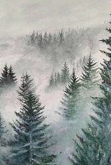 Картина по видеоуроку Лес в тумане цена и информация | Живопись по номерам | 220.lv