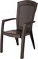 Dārza krēsls Minnesota brūns cena un informācija | Dārza krēsli | 220.lv